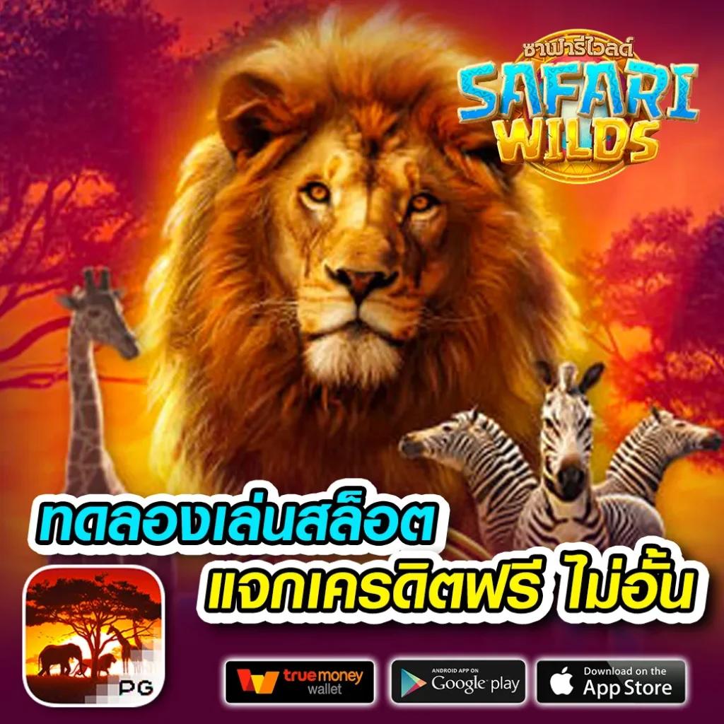 chokdee77 เว็บตรง สล็อต ฝากถอนออโต้ ไม่ผ่านเอเย่นต์ 2026